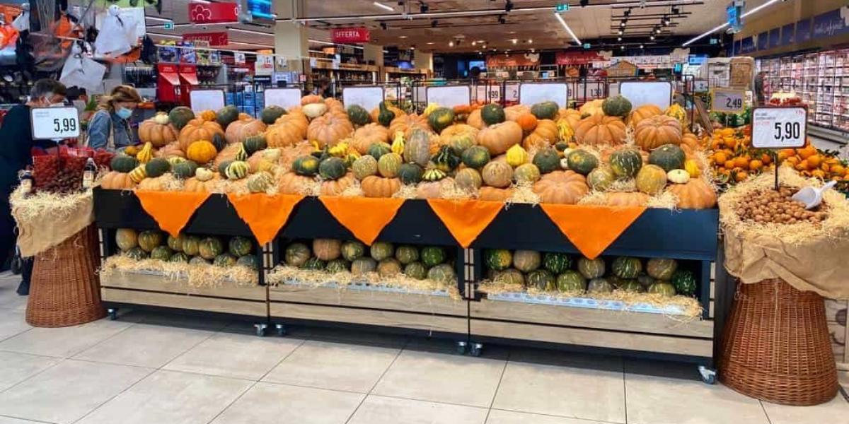 Zucca, i segreti del successo